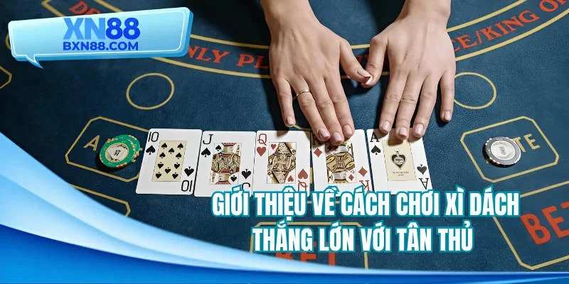 Giới thiệu về cách chơi xì dách thắng lớn với tân thủ