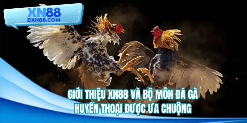 Giới thiệu XN88 và bộ môn đá gà huyền thoại được ưa chuộng