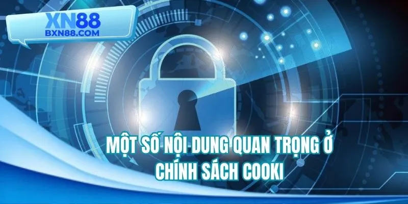 Một số nội dung quan trọng ở chính sách Cooki