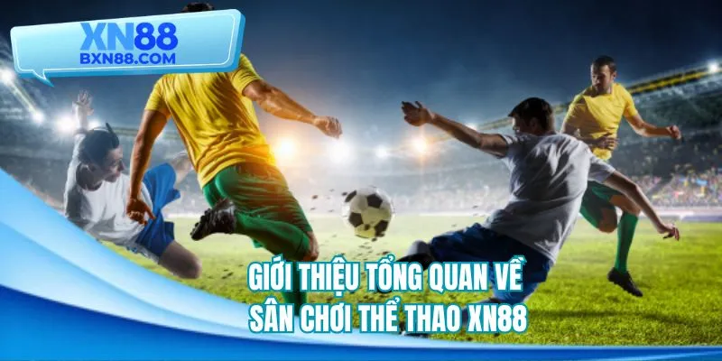 Khái quát một vài điểm đặc sắc về thể thao XN88